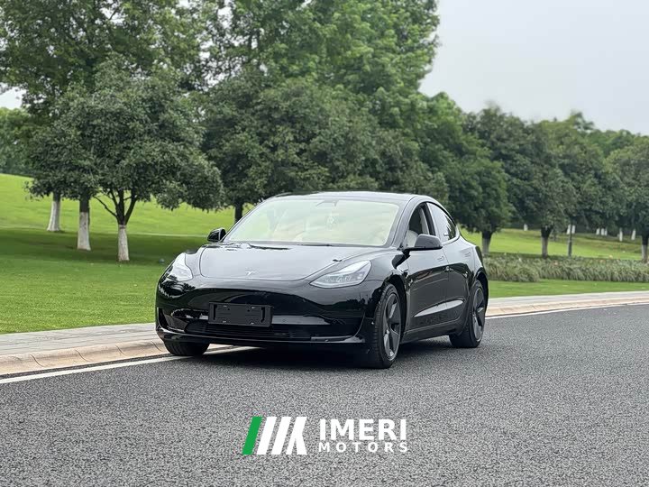 Tesla Model 3 Standard Range Edition 3D1 - автомобиль из Китая