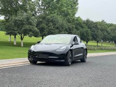 Tesla Model 3 Standard Range Edition 3D1 - фото 1