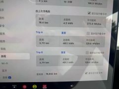 Tesla Model 3 Standard Range Edition 3D1 - фото 16