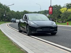 Tesla Model 3 Standard Range Edition 3D1 - фото 2