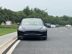 Tesla Model 3 Standard Range Edition 3D1 - фото 3