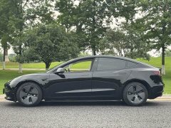 Tesla Model 3 Standard Range Edition 3D1 - фото 4
