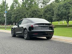 Tesla Model 3 Standard Range Edition 3D1 - фото 5