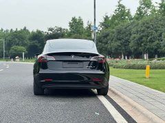 Tesla Model 3 Standard Range Edition 3D1 - фото 6