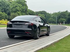 Tesla Model 3 Standard Range Edition 3D1 - фото 7