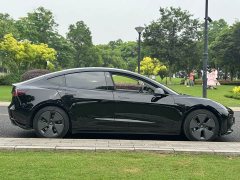 Tesla Model 3 Standard Range Edition 3D1 - фото 8