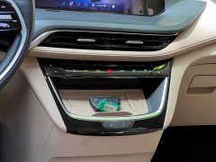Buick GL8 Deluxe Edition - фото 15