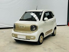 BYD 222km - фото 1