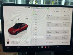 Tesla Model 3 rear-wheel drive version - фото 11
