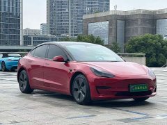 Tesla Model 3 rear-wheel drive version - фото 3