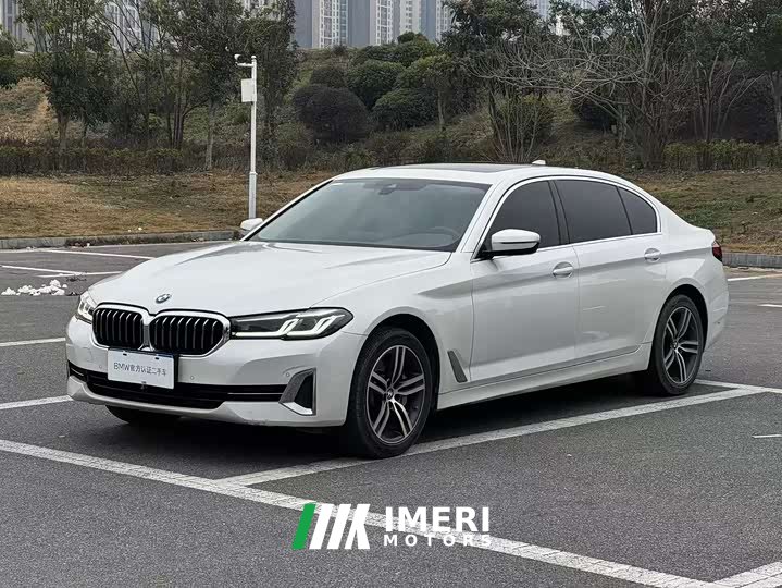BMW 5 Series 530Li Leading Luxury Package - автомобиль из Китая