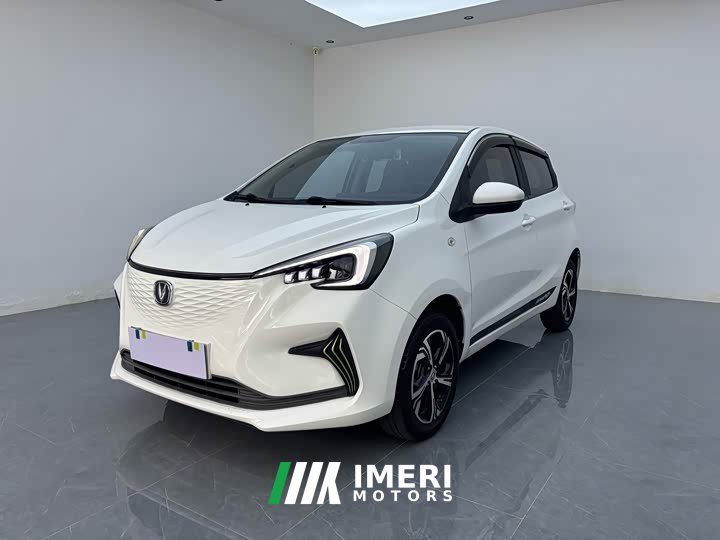 BYD E-Star Edition