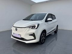 BYD E-Star Edition - фото 1