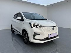 BYD E-Star Edition - фото 3
