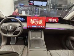 Xpeng S9T EV Max (896) - фото 10