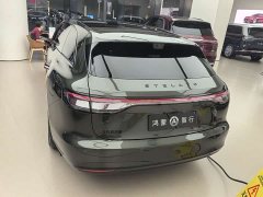 Xpeng S9T EV Max (896) - фото 6