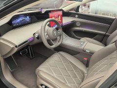 Xpeng S9T EV Max (896) - фото 8