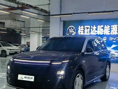 Leapmotor D19 EV720 Edition - фото 1