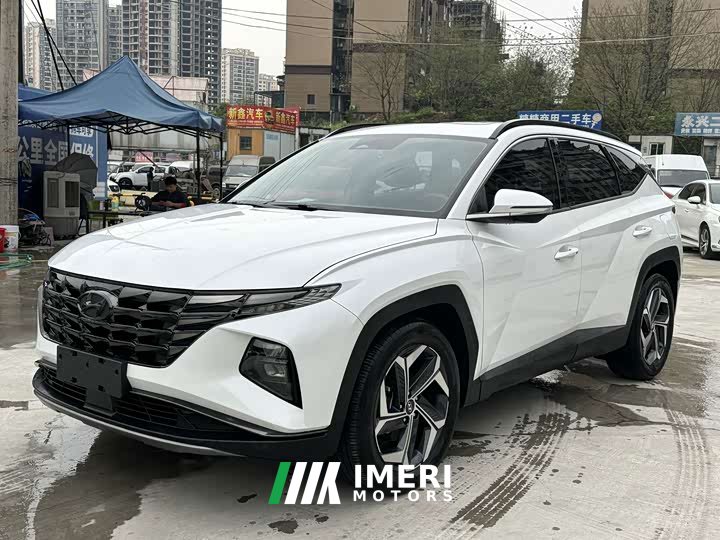 Denza L 1.5T DCT LUXPremium Edition - автомобиль из Китая
