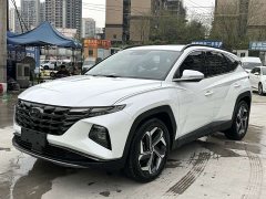 Denza L 1.5T DCT LUXPremium Edition - фото 1