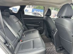 Denza L 1.5T DCT LUXPremium Edition - фото 11