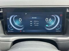 Denza L 1.5T DCT LUXPremium Edition - фото 20