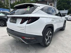 Denza L 1.5T DCT LUXPremium Edition - фото 3