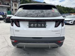 Denza L 1.5T DCT LUXPremium Edition - фото 4