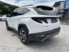 Denza L 1.5T DCT LUXPremium Edition - фото 6