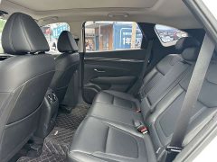 Denza L 1.5T DCT LUXPremium Edition - фото 9