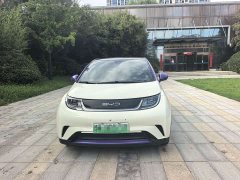 BYD 405km Fashion Edition - фото 2