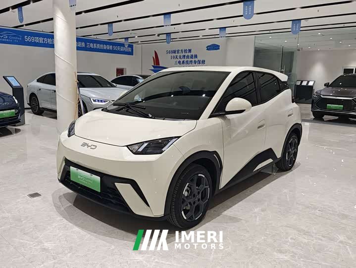 BYD Edition 305km Edition