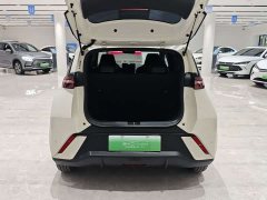 BYD Edition 305km Edition - фото 15