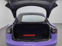Tesla Model 3 Standard Range Edition 3D1 - фото 16
