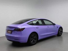 Tesla Model 3 Standard Range Edition 3D1 - фото 2