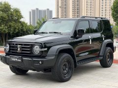 Tank 300 2.0T - фото 1