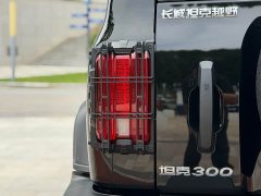 Tank 300 2.0T - фото 10