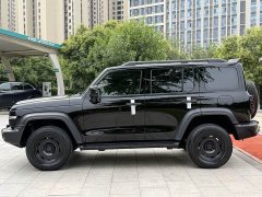 Tank 300 2.0T - фото 3