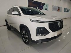 Baojun 530 Anniversary Edition 1.5T CVTPremium Version 5 - фото 4