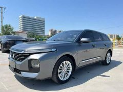 Baojun Valli 1.5T CVTDeluxe Version - фото 2