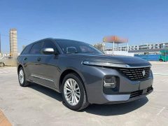 Baojun Valli 1.5T CVTDeluxe Version - фото 4