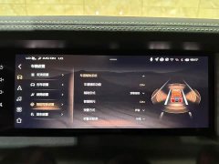 Tank 300 2.0T - фото 16