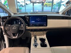 Lexus LM 500h Edition - фото 15