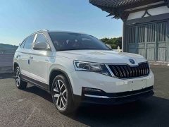 Chery 1.5L Edition - фото 3