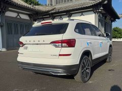 Chery 1.5L Edition - фото 6