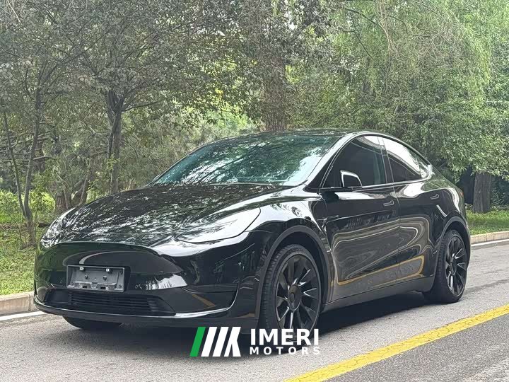 Tesla Model Y rear-wheel drive version - автомобиль из Китая