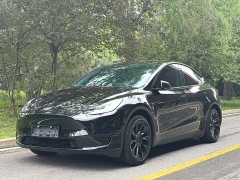 Tesla Model Y rear-wheel drive version - фото 1