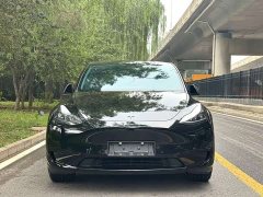 Tesla Model Y rear-wheel drive version - фото 2