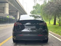 Tesla Model Y rear-wheel drive version - фото 7