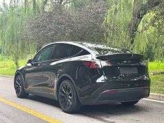 Tesla Model Y rear-wheel drive version - фото 8